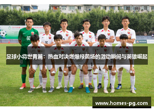 足球小将世青篇：热血对决燃爆绿茵场的激动瞬间与英雄崛起