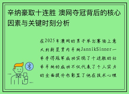 辛纳豪取十连胜 澳网夺冠背后的核心因素与关键时刻分析