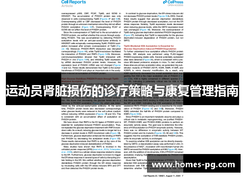运动员肾脏损伤的诊疗策略与康复管理指南