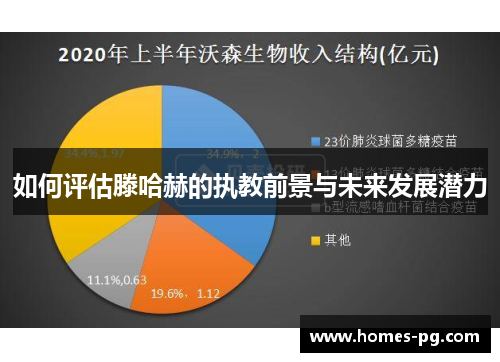 如何评估滕哈赫的执教前景与未来发展潜力