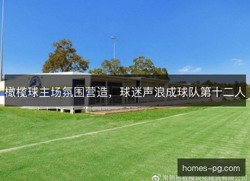 橄榄球主场氛围营造，球迷声浪成球队第十二人